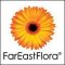 FarEastFlora.com HQ picture