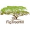 Fig Tree Hill Resort profile picture
