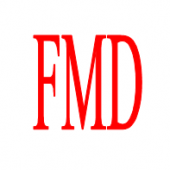 Fmd Management Consultants business logo picture