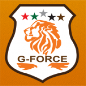 G-Force Security Service business logo picture