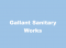 Gallant Sanitary Works profile picture