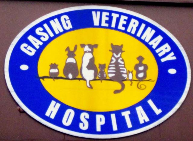 Gasing Veterinary Hospital business logo picture