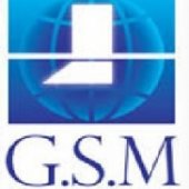 Global Street Mission business logo picture