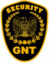 GNT Security Services business logo picture