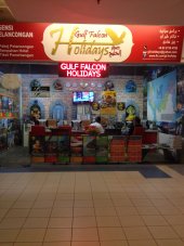 Gulf Falcon Holidays business logo picture