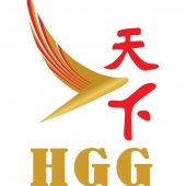 HGG TOUR CONNECTIONS (AIR TOUR EXPRESS )Kulai business logo picture