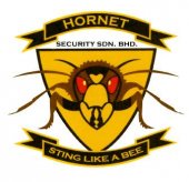 Hornet Security business logo picture