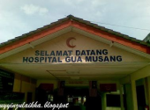 Hospital Gua Musang business logo picture