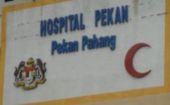Hospital Pekan business logo picture