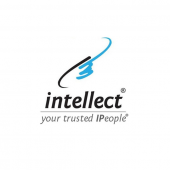 Intellect Worldwide business logo picture