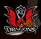 KL Dragons Basketball Academy Picture