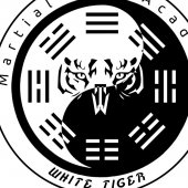 Korean Martial Arts Academy business logo picture