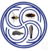 Lim White Ant Services business logo picture