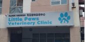 Little Paws Veterinary Clinic business logo picture
