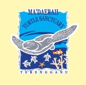 Ma’daerah Turtle Sanctuary business logo picture