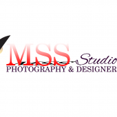 Mss Studio business logo picture