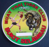 Muay Thai Tiger Club Bukit Selambau business logo picture