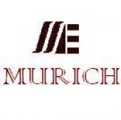 Murich Asia Enterprise business logo picture