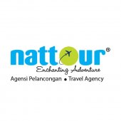 NAT Tour business logo picture