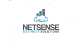 Netsence Business Solutions business logo picture