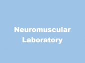 Neuromuscular Laboratory business logo picture