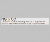 NG & CO business logo picture
