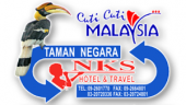 NKS Travel and Tours business logo picture