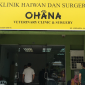 Ohana Veterinary Clinic & Surgery business logo picture