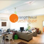Orange Pekoe Guesthouse business logo picture