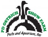 PD Ostrich Show Farm business logo picture