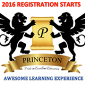 Princeton Education business logo picture