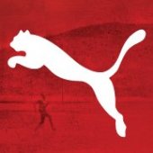 Puma business logo picture