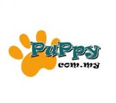 Puppycom Dog Training School business logo picture