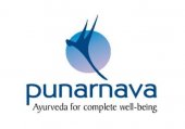 Purnava Ayurveda Sdn Bhd business logo picture