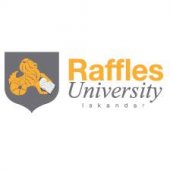 Raffles University business logo picture