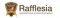 Rafflesia International and Private Schools Kajang Picture
