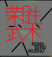 Rong Seng Wushu Academy Klang Branch business logo picture