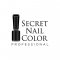 Secret Nail Color profile picture