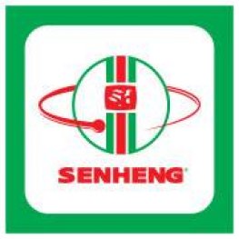 Seng heng share price