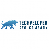 Techveloper  business logo picture