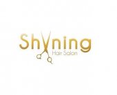 Shining Hair Salon business logo picture
