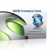 Skb Biz Consultants business logo picture