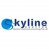 Skyline Travel and Consulting Chinatown Point business logo picture