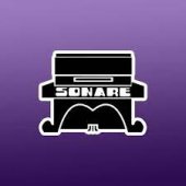 Sonare Music School business logo picture