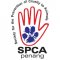 SPCA-Penang picture