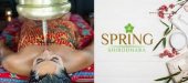 Spring Shirodhara Northpoint City business logo picture
