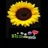 Sunflowers Balloon & Gift business logo picture