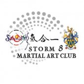 Storm 8 Martial Art  business logo picture
