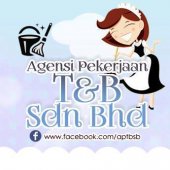 Agensi Pekerjaan T & B business logo picture