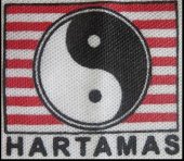 Tai Chi Hartamas business logo picture